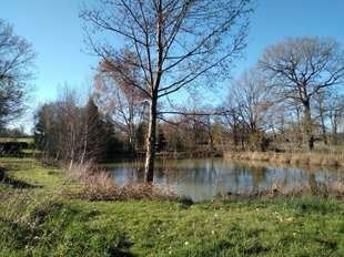 Photo Vente de terrain Marcillé-Raoul