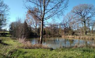 Photo Vente de terrain Marcillé-Raoul
