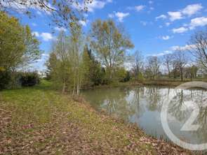 Vente Terrain 5230 m&sup2;Marcillé-Raoul