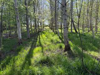 Vente de terrain 1 pièce