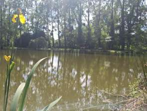 Vente Terrain 7595 m&sup2;Marcillé-Raoul