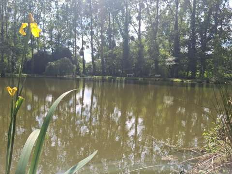 Vente de terrain Marcillé-Raoul 35