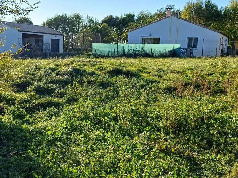 Vente de terrain