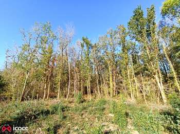Vente Terrain 19013 m&sup2;Mareuil-sur-Lay-Dissais