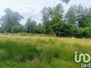 Vente Terrain 503 m&sup2;Margaux
