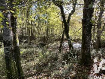 Vente de terrain Vente de terrain