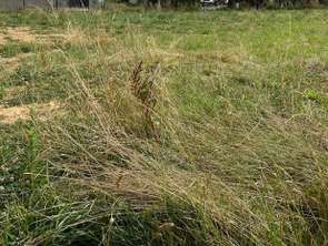 Vente Terrain 938 m&sup2;Marsais-Sainte-Radégonde
