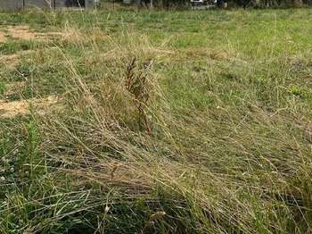 Vente Terrain 938 m&sup2;Marsais-Sainte-Radégonde