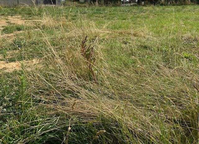 Terrain 938 m² · à Marsais-Sainte-Radégonde · 938 m² · 22 512 €