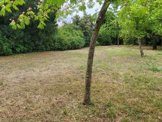 Vente de terrain 1 pièce