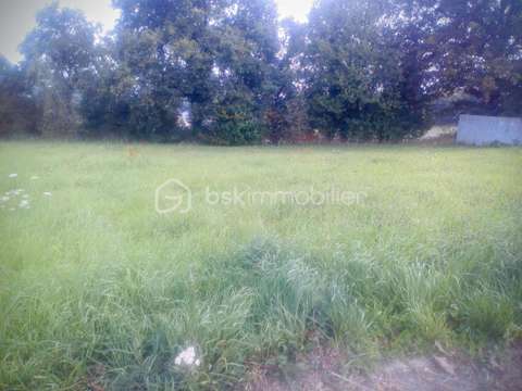 Vente de terrain Martigné-Ferchaud 35