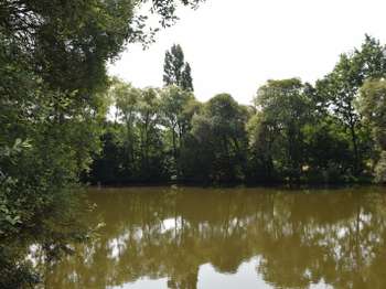 Photo Vente de terrain Martigné-sur-Mayenne