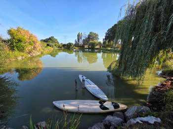 Vente Terrain 6033 m&sup2;Martigné-sur-Mayenne
