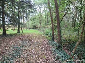 Vente de terrain
