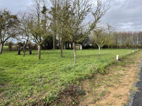 Vente de terrain Martragny 14