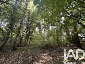 Vente Terrain 11070 m&sup2;Massay