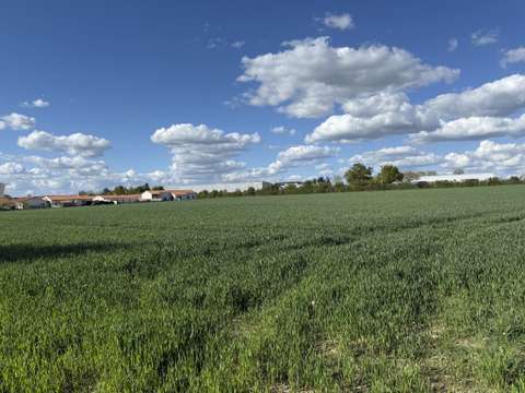 Vente de terrain Mauléon 79