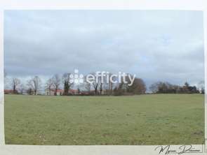 Vente Terrain 10000 m&sup2;Mauléon