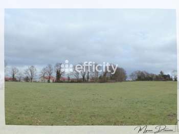 Vente de terrain Mauléon 79