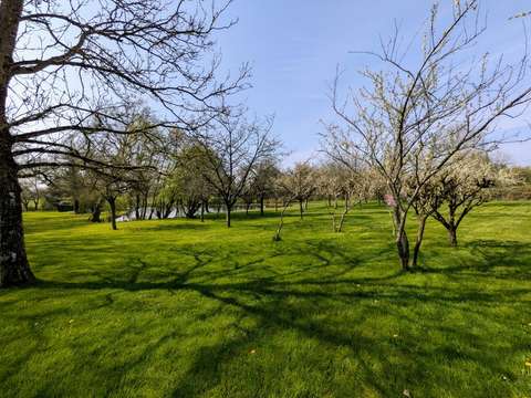 Vente de terrain Maulévrier 49