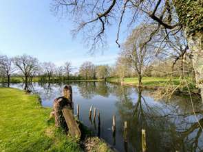 Vente Terrain 9232 m&sup2;Maulévrier