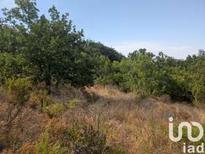 Vente Terrain 6500 m&sup2;Maureillas-las-Illas