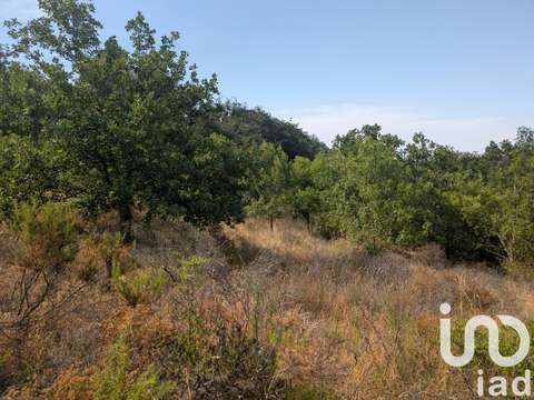 Vente de terrain Maureillas-las-Illas 66