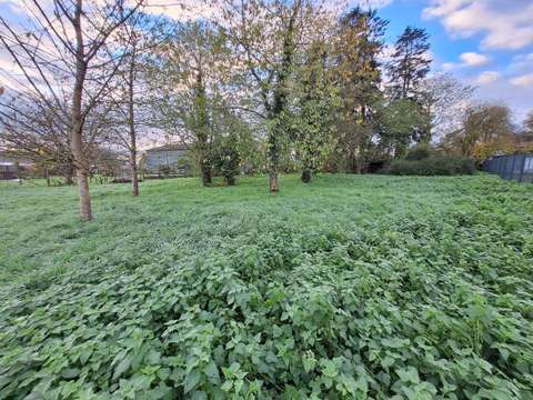 Vente de terrain Mauron 56