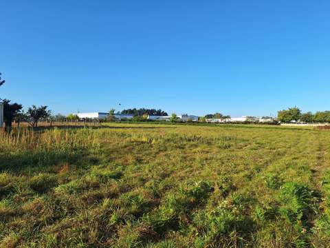 Vente de terrain Mauron 56