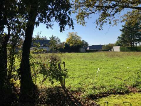 Vente de terrain Mauves-sur-Loire 44