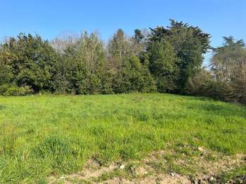 Vente Terrain 869 m&sup2;Mauves-sur-Loire