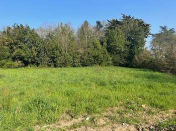 Vente Terrain 869 m&sup2;Mauves-sur-Loire