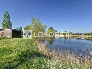 Vente de terrain