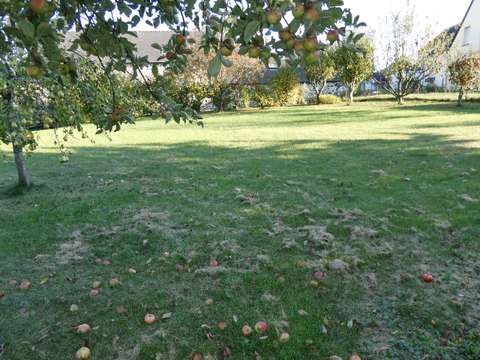 Vente de terrain Mayenne 53