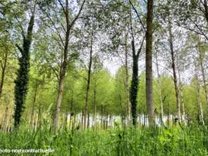 Vente Terrain 11740 m&sup2;Mégrit