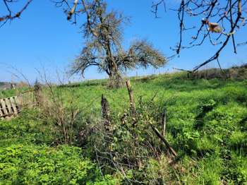 Vente de terrain