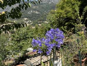 Vente Terrain 1516 m&sup2;Menton