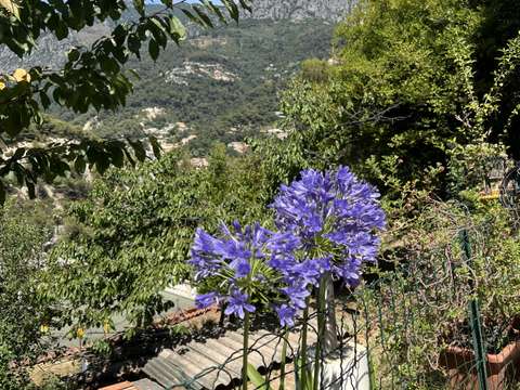 Vente de terrain Menton 06