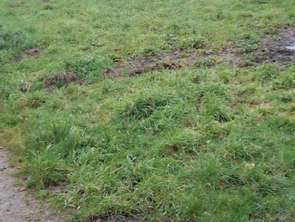 Vente Terrain 764 m&sup2;Merlevenez