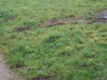 Vente de terrain Merlevenez 56