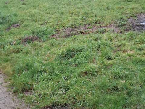 Vente de terrain Merlevenez 56