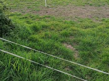 Vente Terrain 450 m&sup2;Merlevenez