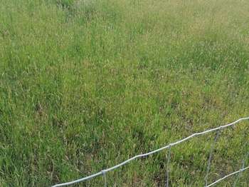 Vente de terrain Merlevenez 56