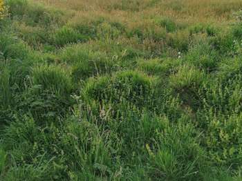 Vente Terrain 275 m&sup2;Merlevenez