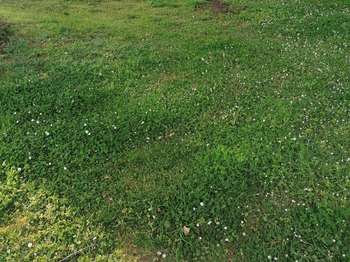 Vente Terrain 270 m&sup2;Merlevenez