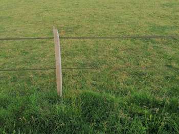 Vente de terrain Merlevenez 56