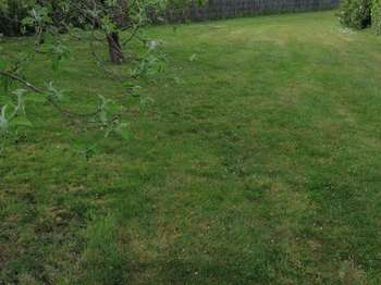 Vente de terrain Merlevenez 56