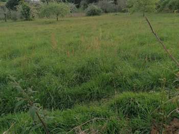 Vente de terrain Merlevenez 56