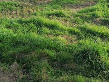Vente Terrain 417 m&sup2;Merlevenez
