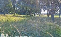 Photo Vente de terrain Mernel